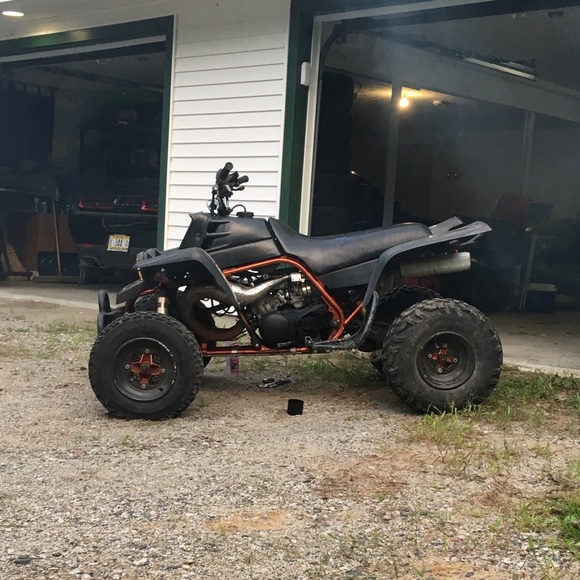 Meet your Posher, Timothy - Picture 2 of 3